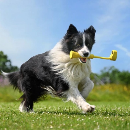 ACTION CAM ACC FETCH STICK//GO 3 CINSBBKP INSTA360 - Image 2