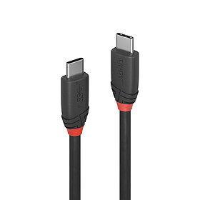 CABLE USB3.2 C-C 0.5M/BLACK 36905 LINDY - Image 2