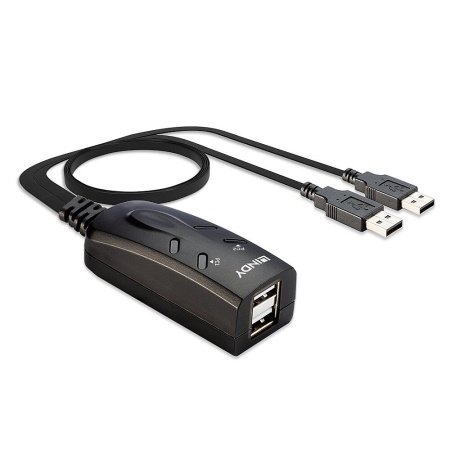NET SWITCH KVM USB 2PORT/32165 LINDY - Image 2