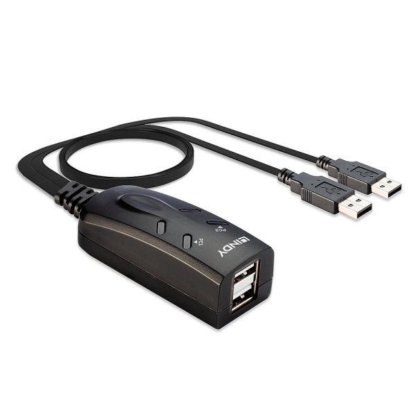 NET SWITCH KVM USB 2PORT/32165 LINDY - Image 2