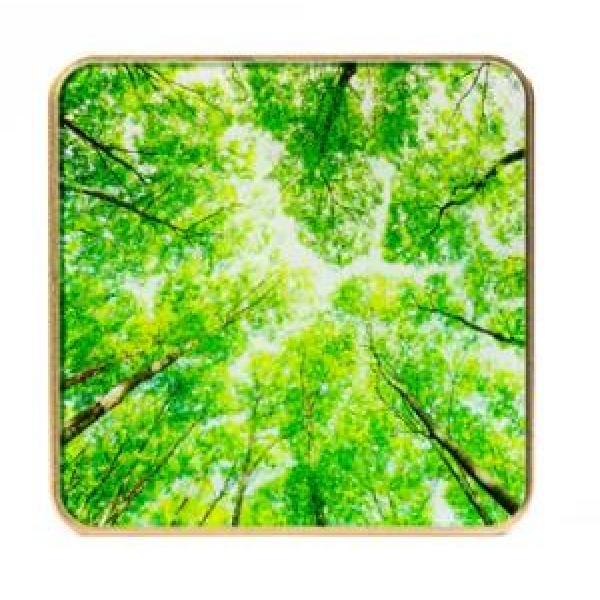 SMART HOME AIR QUALITY SENSOR/GOLD/TREE AIRV-TREE AIRVALENT - Image 2