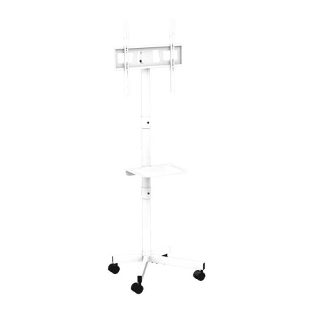 TV SET ACC FLOOR STAND 32-55"/TVS-55T-03-W GEMBIRD