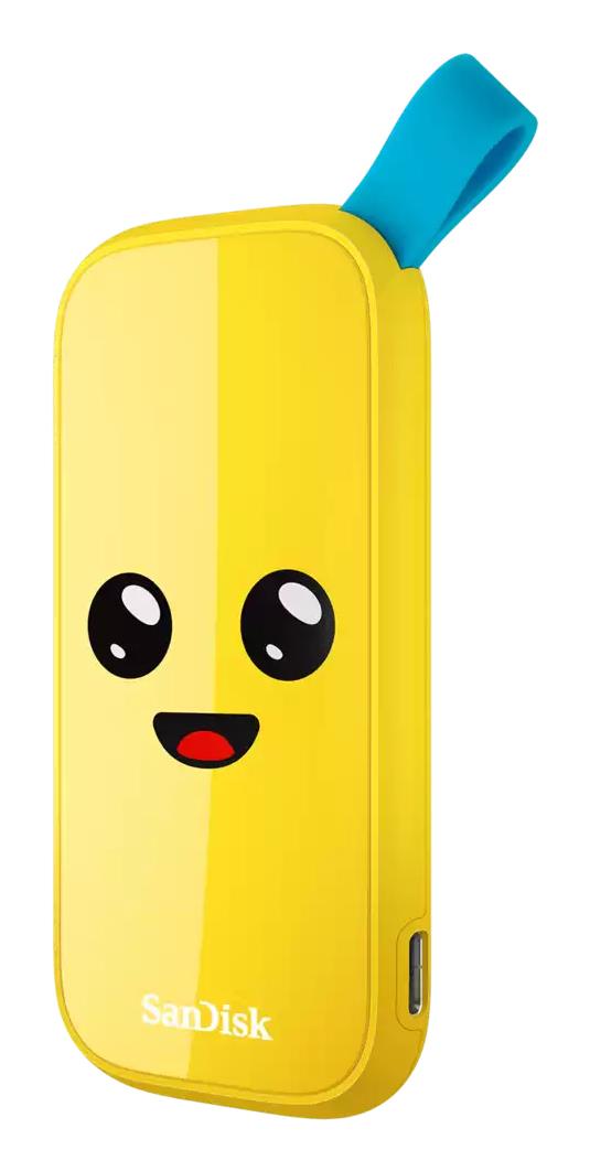 External SSD SANDISK 2TB USB 3.2 Read speed 800 MBytes/sec SDSSDE30-2T00-G25F