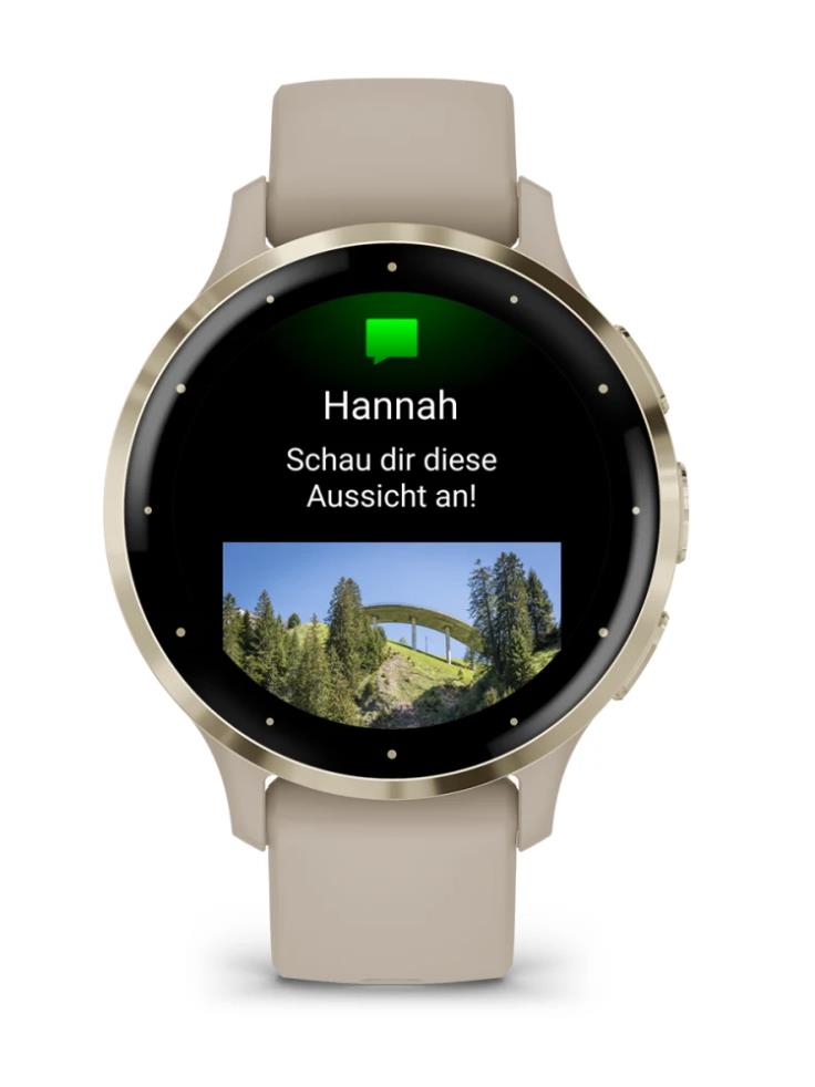 SMARTWATCH VENU 3S/GRAY/GOLD 010-02785-02 GARMIN - Image 5