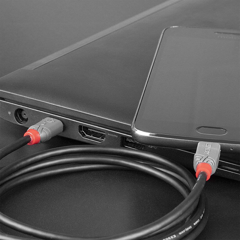 CABLE USB2 A TO MICRO-B 3M/ANTHRA 36893 LINDY - Image 5