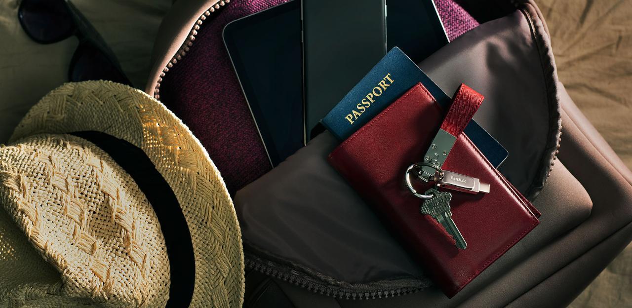 MEMORY DRIVE FLASH USB-C 256GB/SDDDC4-256G-G46 SANDISK - Image 9