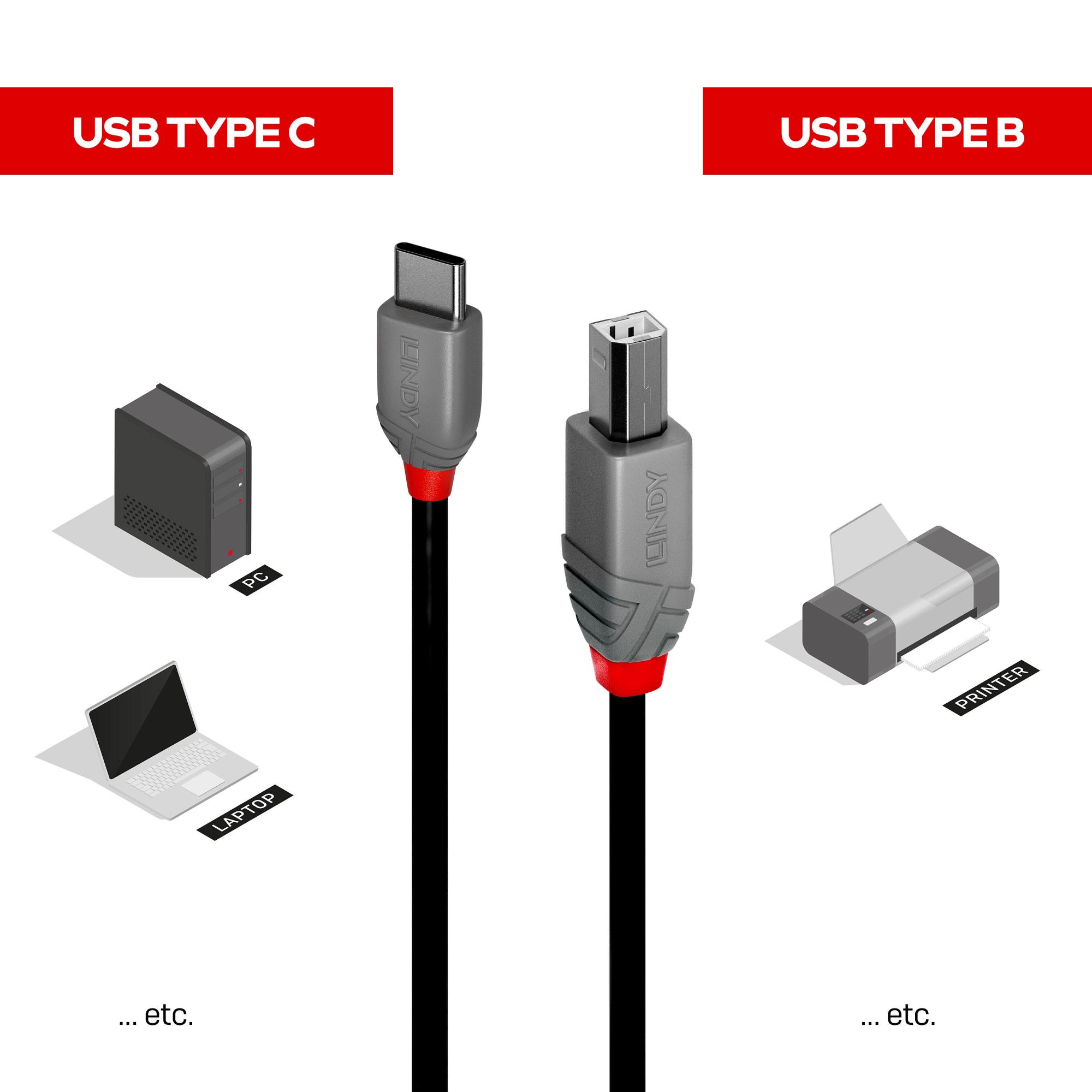 CABLE USB2 C-B 1M/ANTHRA 36941 LINDY - Image 6