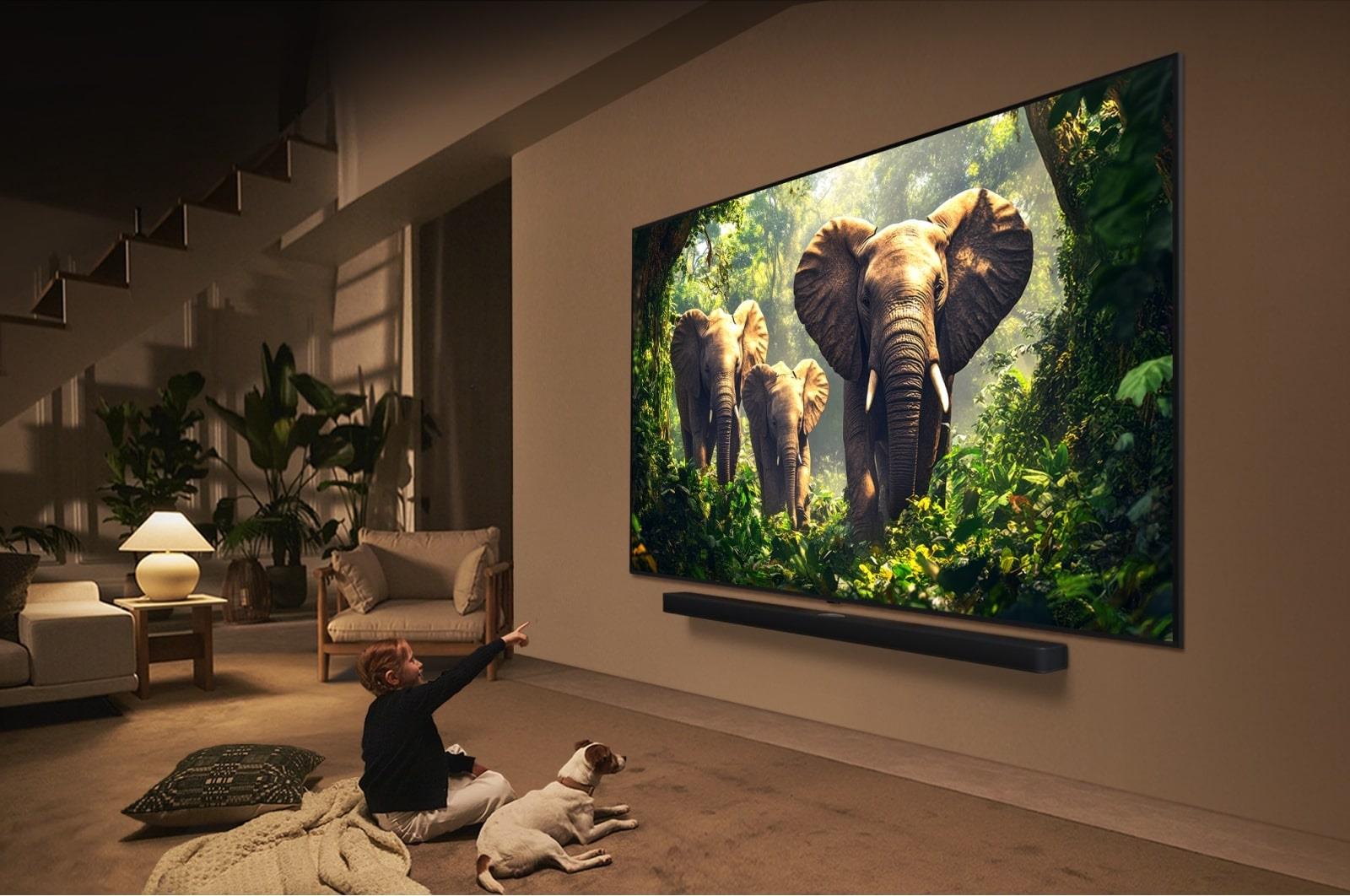 TV Set LG 43" 4K/Smart 3840x2160 Wireless LAN Bluetooth webOS Black / Grey 43QNED87A3D - Image 5
