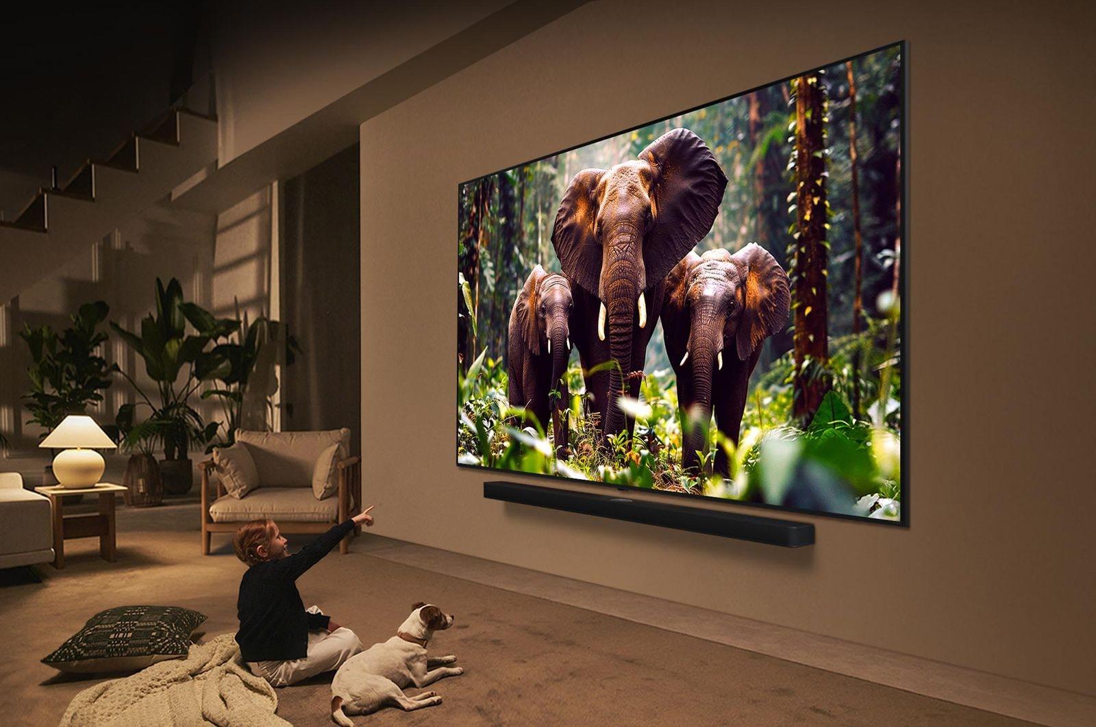 TV Set LG 55" 4K/Smart 3840x2160 Wireless LAN Bluetooth webOS 55QNED87A3B - Image 5