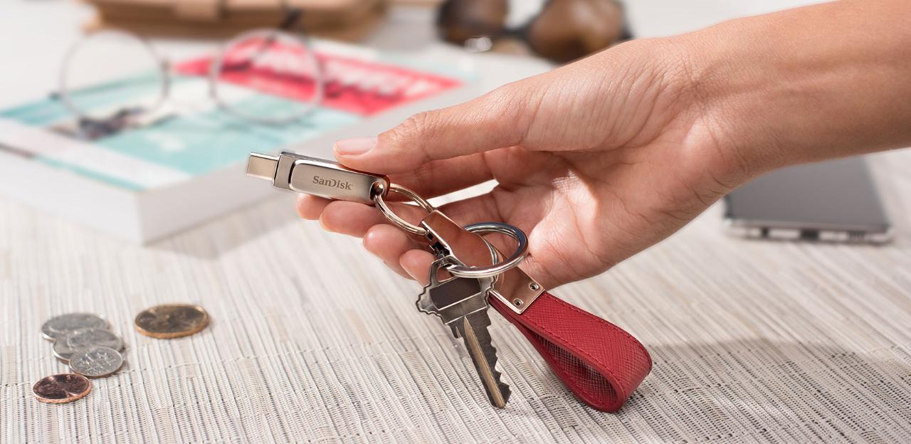 MEMORY DRIVE FLASH USB-C 256GB/SDDDC4-256G-G46 SANDISK - Image 10