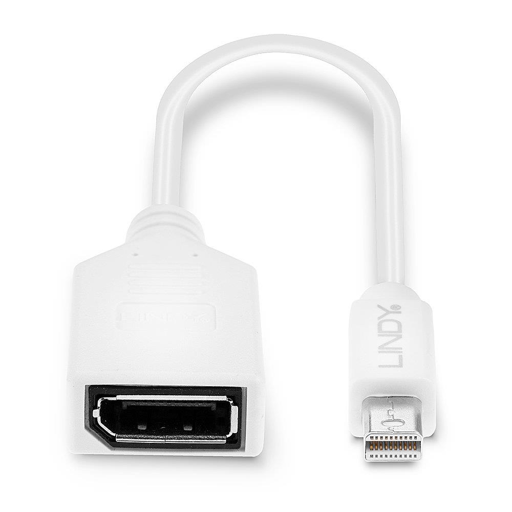 ADAPTER MINI DP TO DP/0.2M 41021 LINDY - Image 5