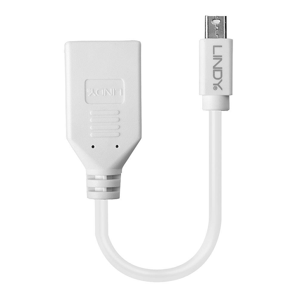 ADAPTER MINI DP TO DP/0.2M 41021 LINDY - Image 3