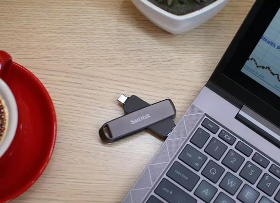 MEMORY DRIVE FLASH USB-C 1TB/SDDDE1-1T00-G46 SANDISK - Image 11