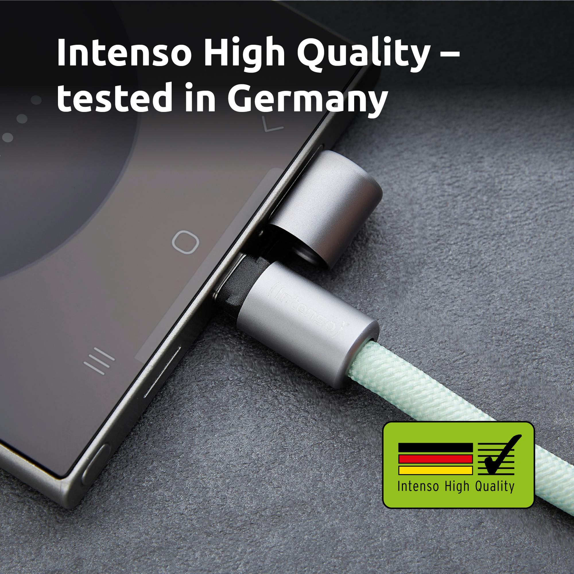 CABLE USB-C TO USB-C 1.65M/LANYARD GREEN 7991007 INTENSO - Image 42