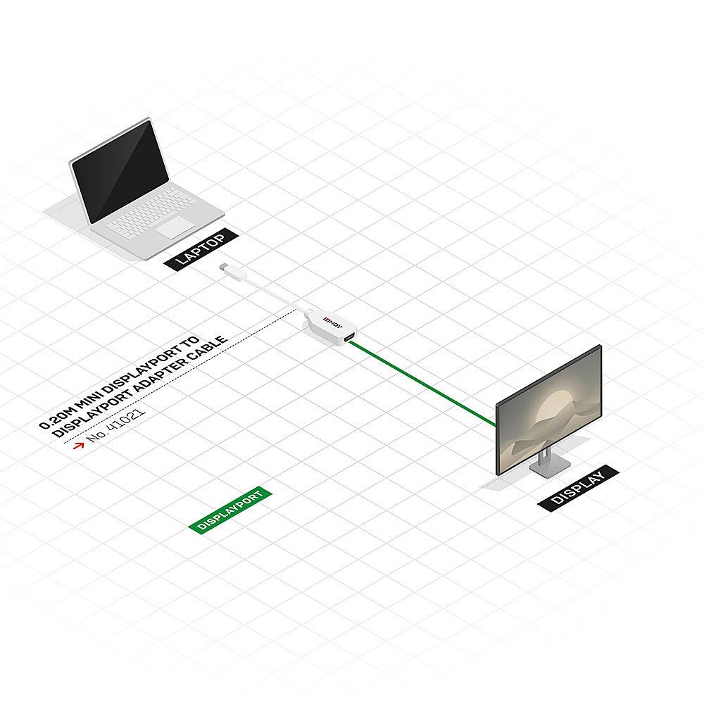 ADAPTER MINI DP TO DP/0.2M 41021 LINDY - Image 6
