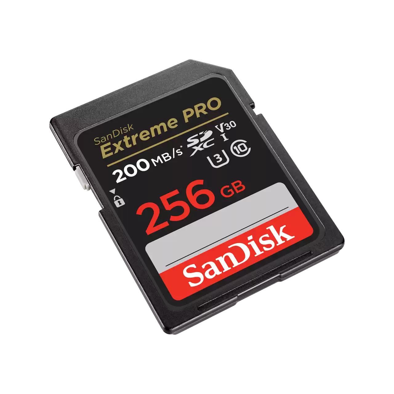 MEMORY SDXC 256GB UHS-1/SDSDXXD-256G-GN4IN SANDISK - Image 7
