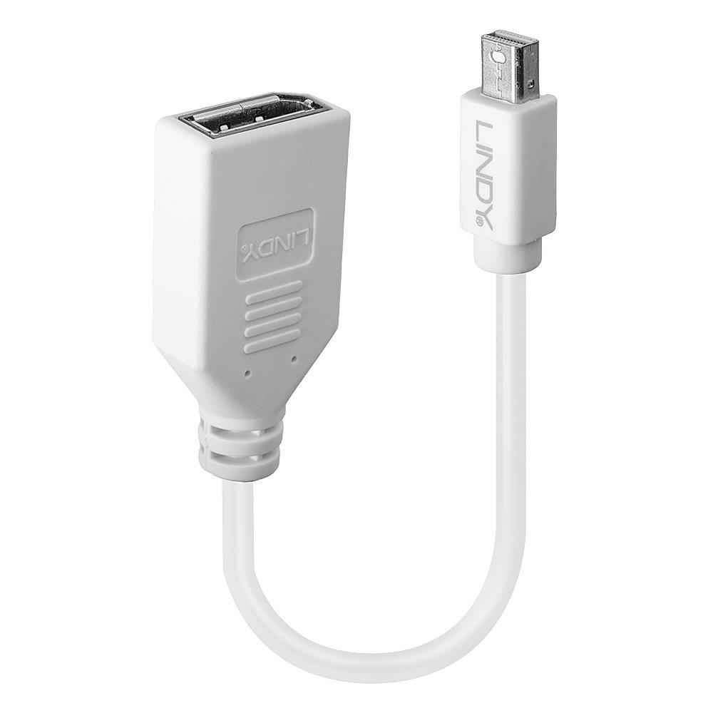 ADAPTER MINI DP TO DP/0.2M 41021 LINDY - Image 2