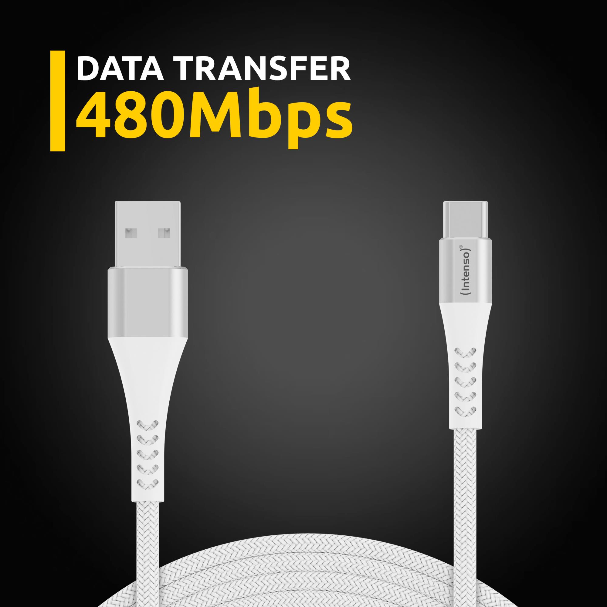 CABLE USB-A TO USB-C 1.5M/7901102 INTENSO - Image 20