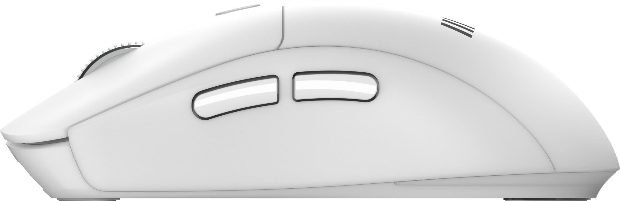 KEYBOARD +MOUSE/FORGE K210 W COMBO WHITE MSI - Image 17