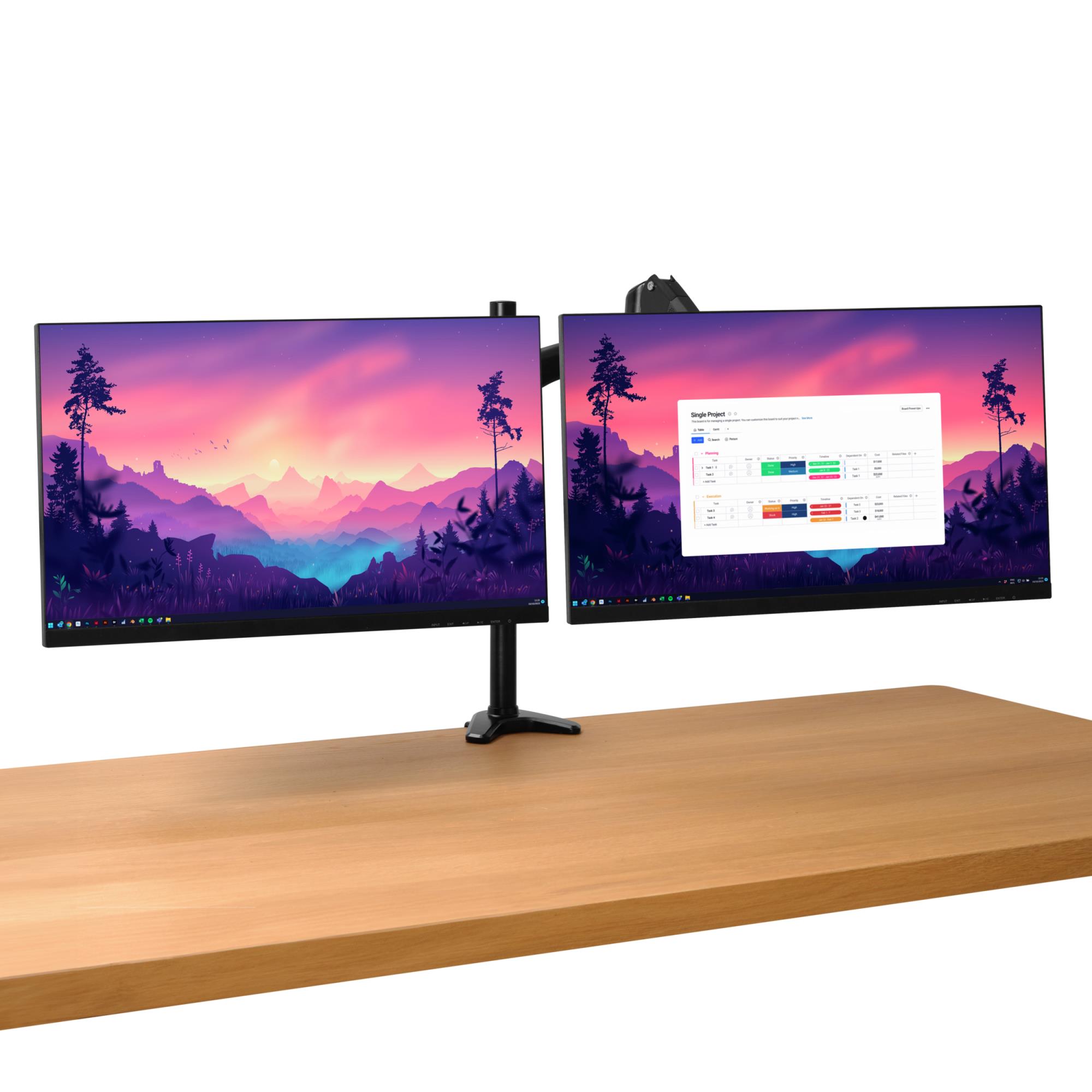 MONITOR ACC ARM DUAL/MARA 25337 TRUST - Image 4