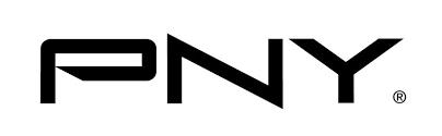 GPU ACC NVL BOARD/H200/NVLBOARD-2WAY-SB NVIDIA PNY
