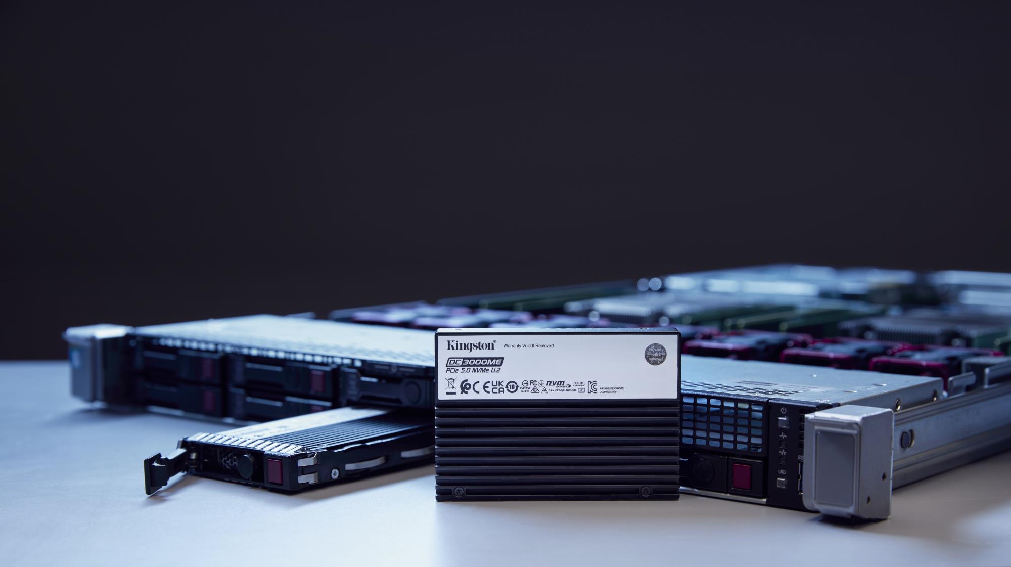 SSD KINGSTON SSD series DC3000ME 7.68TB NVMe NAND flash technology 3D TLC Write speed 10000 MBytes/sec Read speed 14000 MBytes/sec Form Factor U.2 TBW 14.016 TB MTBF 2000000 hours SEDC3000ME/7T6 - Image 6