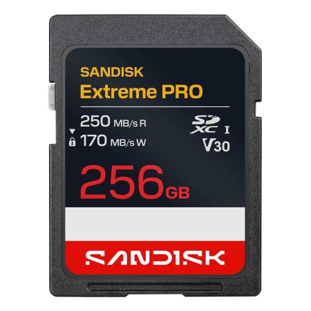 MEMORY SDXC 256GB UHS-1/SDSDXXJ-256G-GSCIN SANDISK