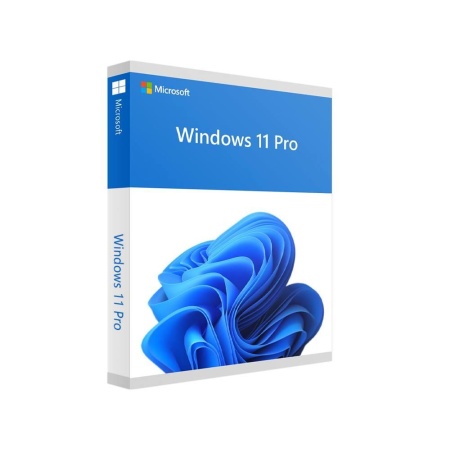 Software MICROSOFT Win Pro FPP 11 64-bit Eng Intl USB Win Pro Retail HAV-00163