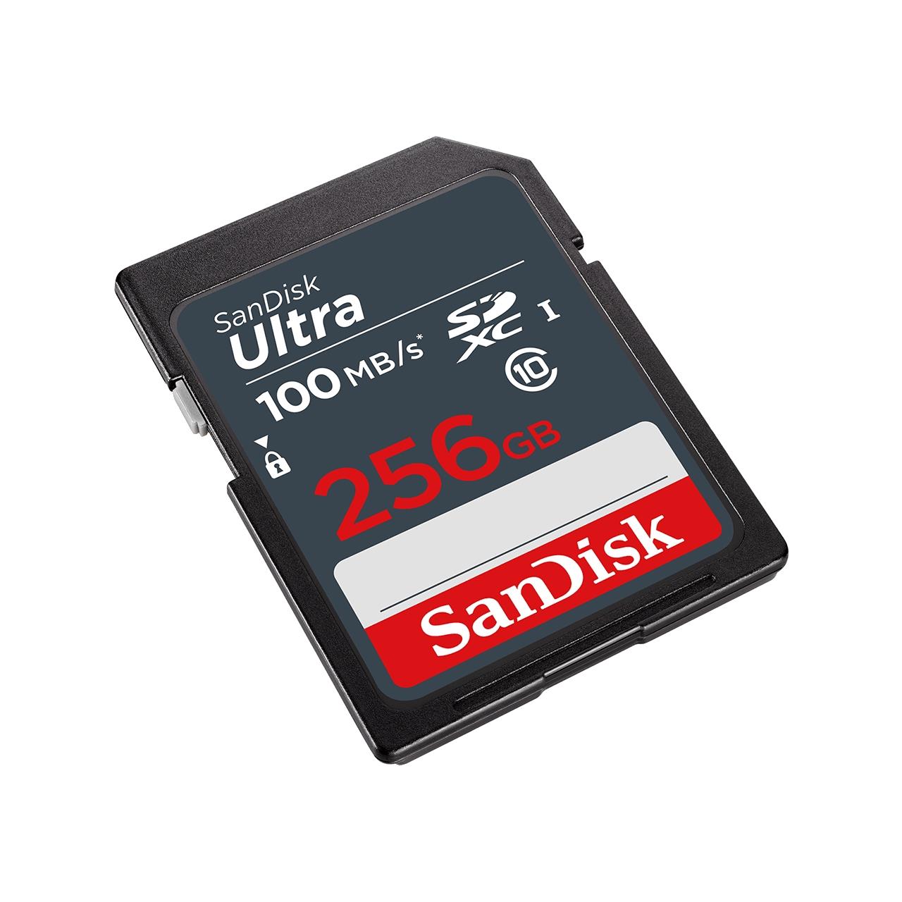 MEMORY SDXC 256GB UHS-I/SDSDUNR-256G-GN3IN SANDISK - Image 2
