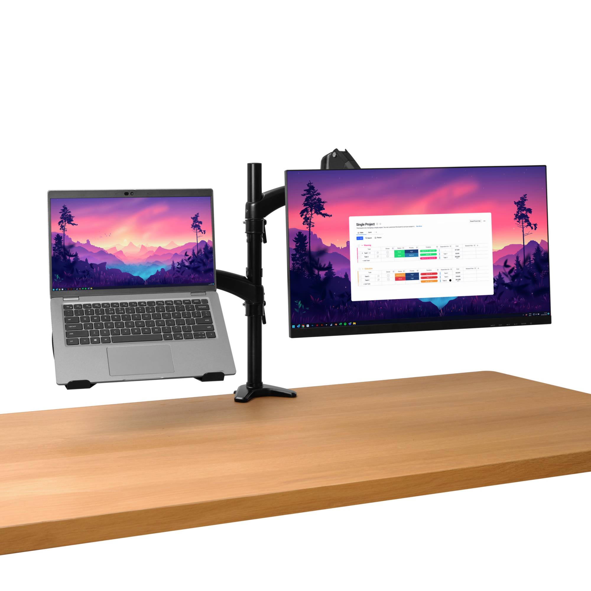 MONITOR ACC ARM DUAL/MARA 25337 TRUST - Image 2