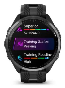 SMARTWATCH FORERUNNER 965/BLACK 010-02809-10 GARMIN - Image 2