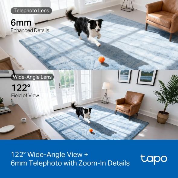 WRL CAMERA PAN/TILT/DUAL TAPO C245D TP-LINK - Image 5